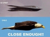 eagle n fighter jet