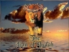 F88_Lion_of_Judah_101