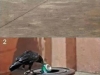cleaning bird