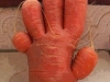 five fingered carrot