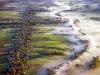 fog over fields, ukraine by volodymyr zinchenko