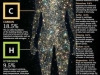 human body ingredients