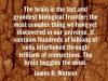 james watson on the human brain