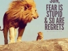 lion tells son fear is stupid