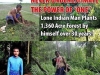 one man planted 30acres