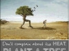 plant a tree