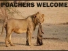 poachers welcome