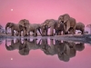 pinkish elephant