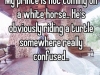 prince not coming on white horse