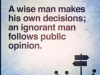 wise man makes his own decision