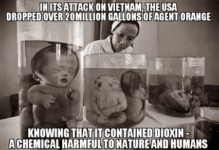 us drop dioxin on vietnam