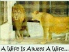 a wife is always a wife