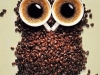 coffeee image