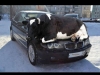 cow on bmw