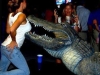 crocodile biting breast