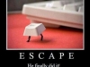 escape key