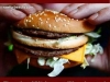 hamburger ar eonly 15percent meat