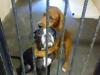 2dogs saved from euthanasia