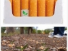 Biodegradable cigarette filters with flower seeds.
