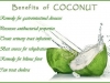 benefit of coconut