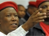 malema1