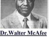 walter mcafee calculated the speed of the moon