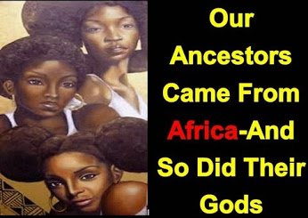 our ancestors came from africa
