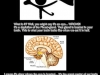 pineal-gland_o_240702