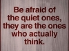 be afraid of the quiet ones