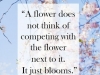 flowers do not compete