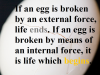 how egg is broken matters