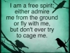 i am a free spirit