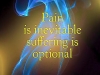 pain versus suffering