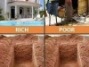 rich and poor same grave2