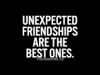 unexpected friendships are the best ones