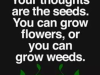 your mind is a garden2